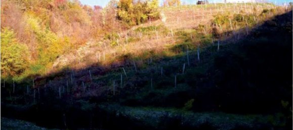 6 rooms House in Refrontolo, Italy No. 288624 9