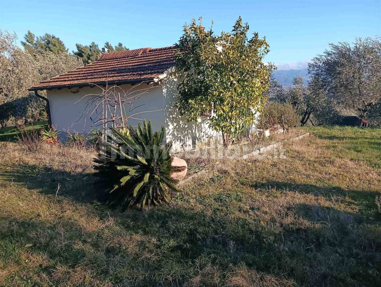  قطعة أرض في Quarrata, Italy 10600متر مربع رقم 349303