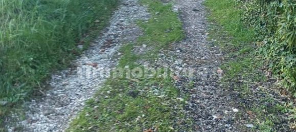 قطعة أرض في Quarrata, Italy 10600متر مربع رقم 349303 7