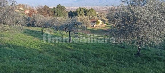 قطعة أرض في Quarrata, Italy 10600متر مربع رقم 349303 11