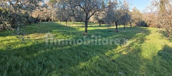 قطعة أرض في Quarrata, Italy 10600متر مربع رقم 349303 9