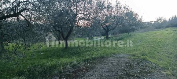 قطعة أرض في Quarrata, Italy 10600متر مربع رقم 349303 8