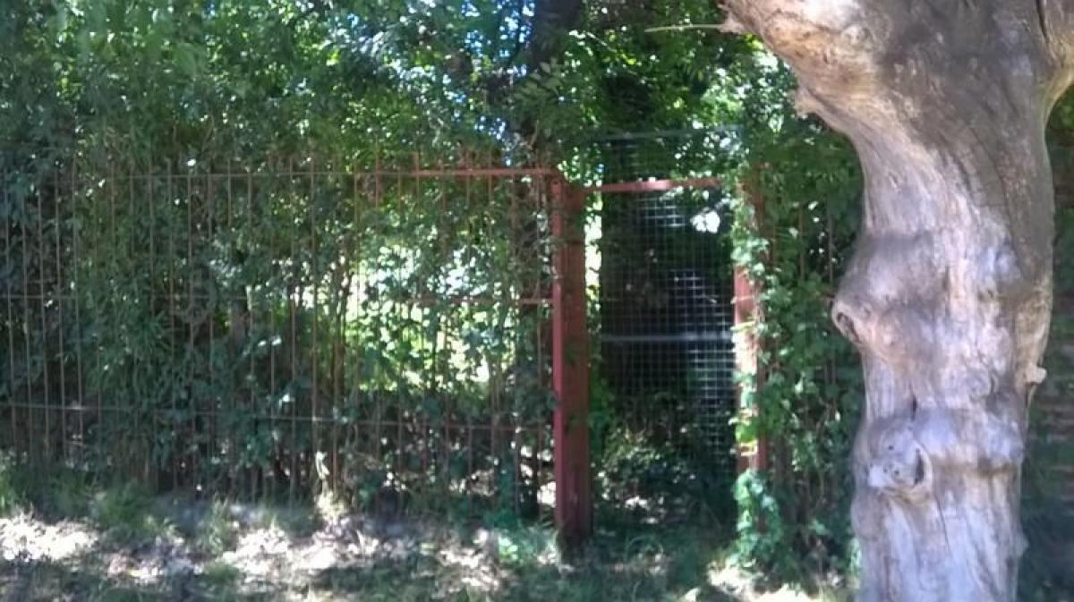 Земельный участок в Корриентес, Аргентина № 35863