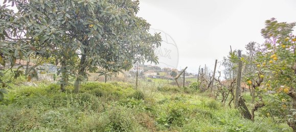 Casa de 3 dormitorios en Baiao, Portugal No. 23887 5
