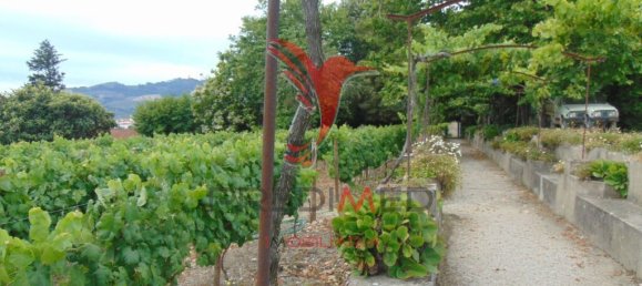 8 غرف نوم منزل في Cumieira, Portugal رقم 126257 17