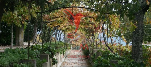 8 غرف نوم منزل في Cumieira, Portugal رقم 126257 16