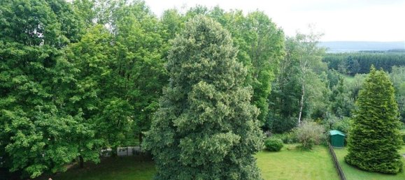 1 chambre Appartement à Trier-Saarburg, Germany No. 139329 12