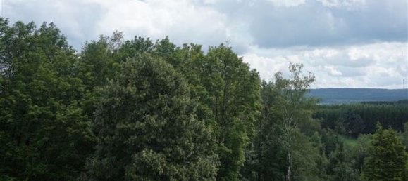 1 chambre Appartement à Trier-Saarburg, Germany No. 139329 14