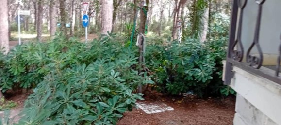 Casa de 8 habitaciónes en Grosseto, Italy No. 26785 46