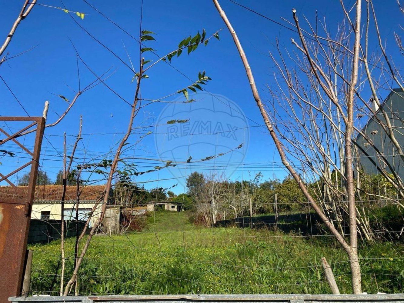 1240m² Land in Coimbra, Portugal No. 86511