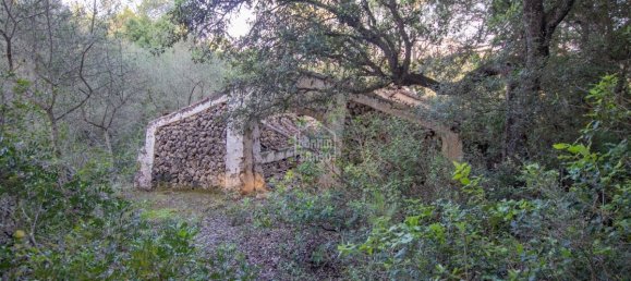 6 bedrooms Finca in Alaior, Spain No. 1412 12