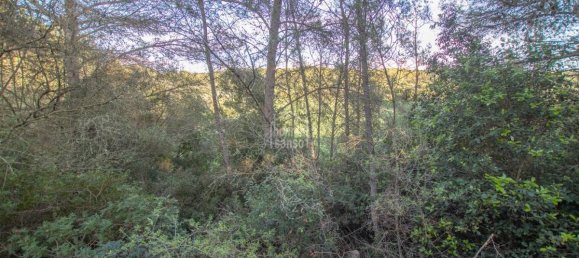 6 bedrooms Finca in Alaior, Spain No. 1412 8