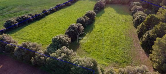 6 bedrooms Finca in Alaior, Spain No. 1412 3