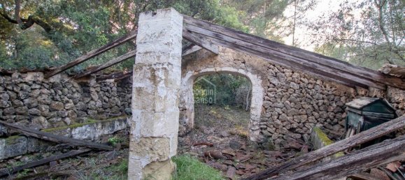 6 bedrooms Finca in Alaior, Spain No. 1412 16