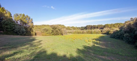 6 bedrooms Finca in Alaior, Spain No. 1412 4