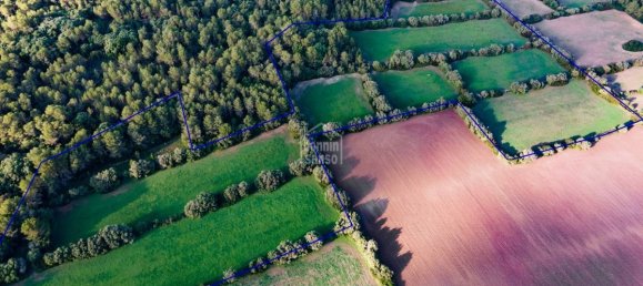 6 bedrooms Finca in Alaior, Spain No. 1412 19