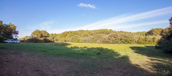 6 bedrooms Finca in Alaior, Spain No. 1412 5