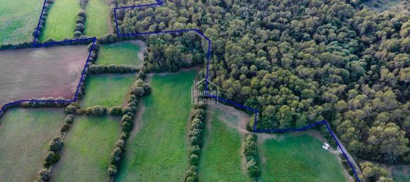 6 bedrooms Finca in Alaior, Spain No. 1412 20