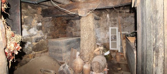 3 Schlafzimmer Haus in Tondela, Portugal, Nr. 23490 23