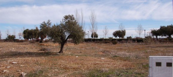 400m² Land in Nambroca, Spain No. 70613 13