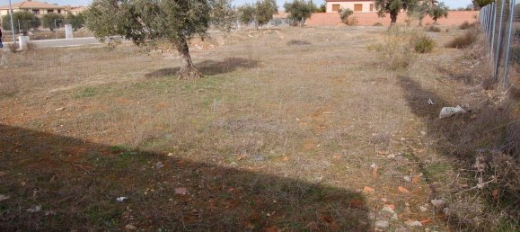 400m² Land in Nambroca, Spain No. 70613 11