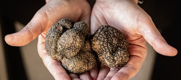 3 Schlafzimmer Grundstück in Laburgade, France, Nr. 91167 15