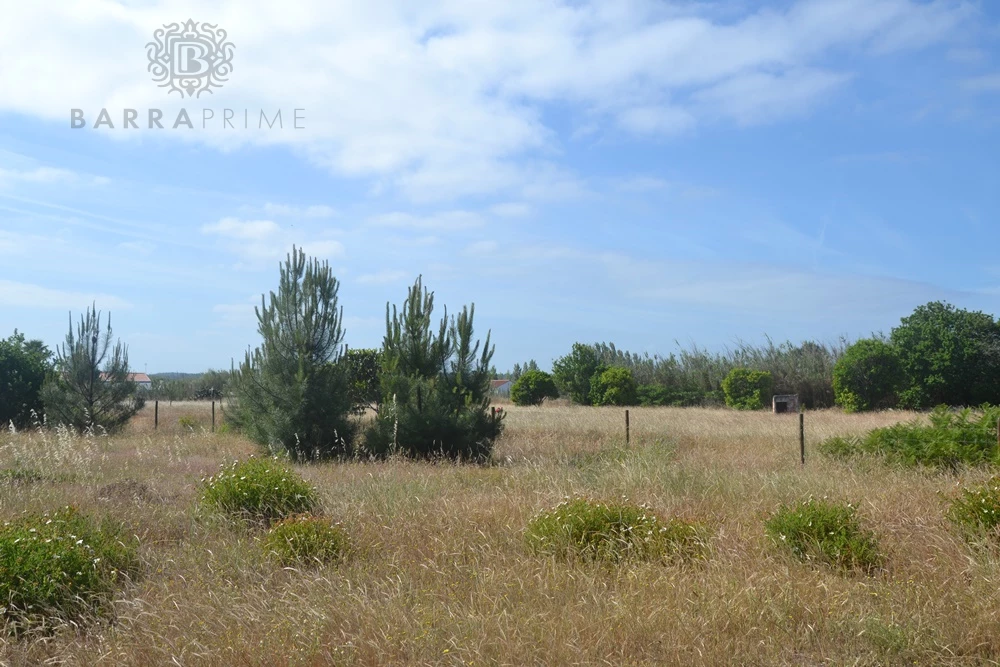  Land in Loule, Portugal No. 51415