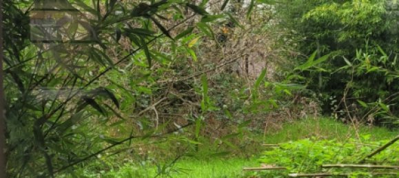 Casa de 2 dormitorios en Saint-Pierre-les-Etieux, France No. 151912 9