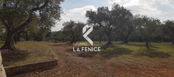 Studio in Cisternino, Italy No. 128353 12