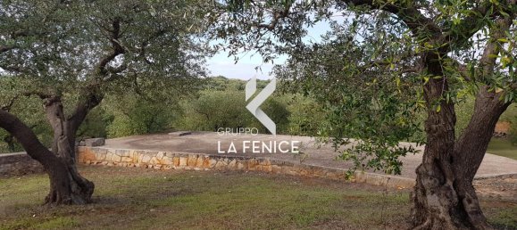 Studio in Cisternino, Italy No. 128353 13