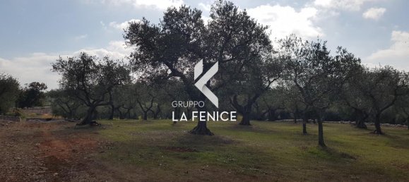 Studio in Cisternino, Italy No. 128353 17