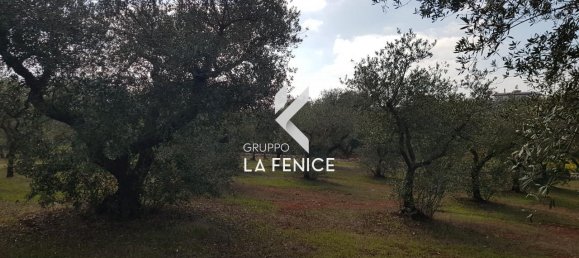 Studio in Cisternino, Italy No. 128353 15