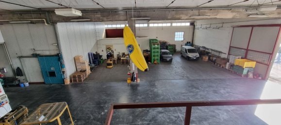 2900m² Warehouse in Bentivoglio, Italy No. 90457 4