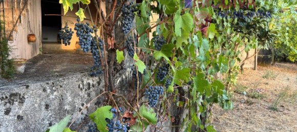 2 Schlafzimmer Haus in Pedrogao Grande, Portugal, Nr. 336187 24