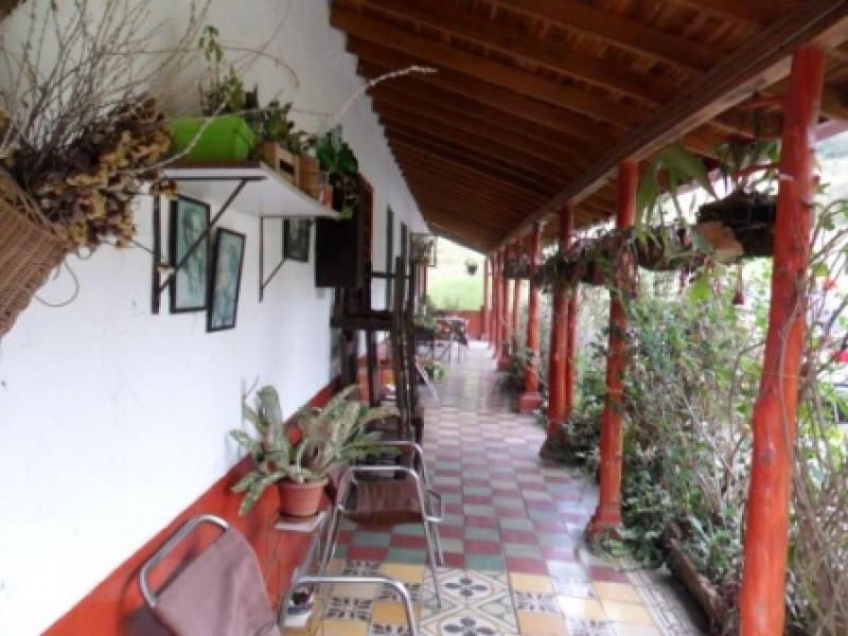 4 bedrooms House in Antioquia, Colombia No. 6675