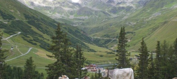 26غرفة فندق في Fendels, Austria رقم 116533 10