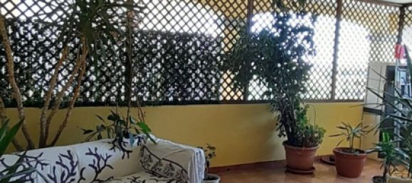 2-Zimmer Wohnung in Sardinia, Italy, Nr. 257105 2