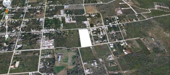 Terrain à Merida, Mexico No. 113348 2