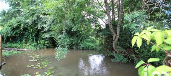 3 bedrooms House in Ouzouer-sur-Trezee, France No. 248602 14