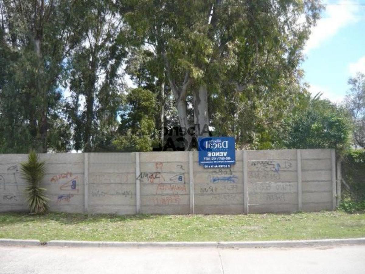  Land in Campo Creado, Argentina No. 37958