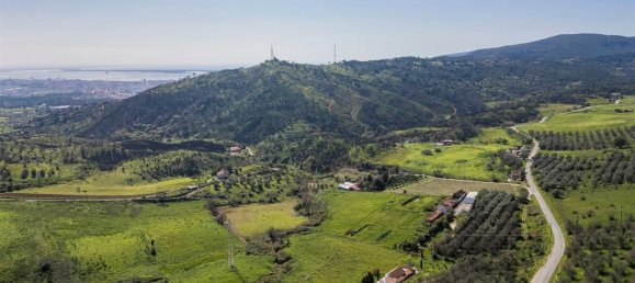  Land in Palmela, Portugal No. 142521 7