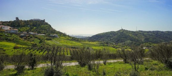  Land in Palmela, Portugal No. 142521 23