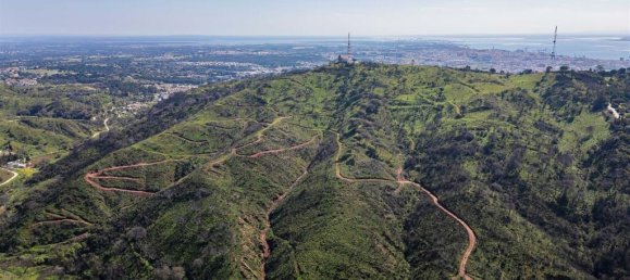  Land in Palmela, Portugal No. 142521 2