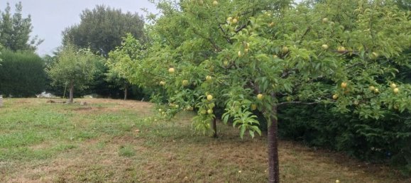 Terreno en Asturias, Spain 635 m² No. 164352 7