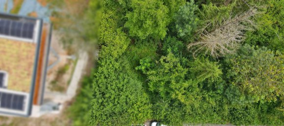 Terreno em Rhein-Neckar-Kreis, Germany N.º 226254 2