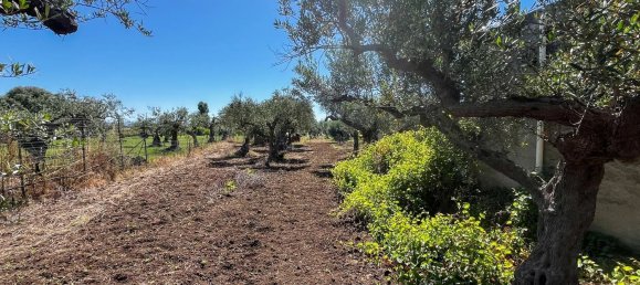 5 bedrooms Apartment in Castelvetrano, Italy No. 364722 10