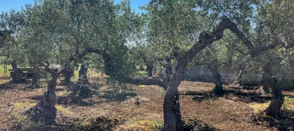 5 bedrooms Apartment in Castelvetrano, Italy No. 364722 9