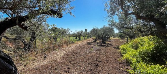 5 bedrooms Apartment in Castelvetrano, Italy No. 364722 5