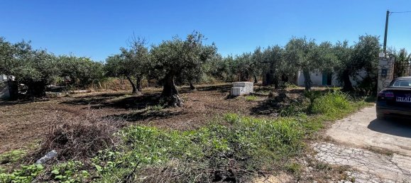 5 bedrooms Apartment in Castelvetrano, Italy No. 364722 2