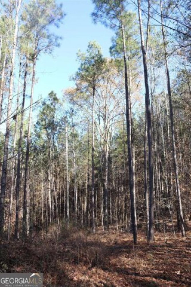  Land in Greensboro, USA No. 498049